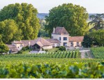 Explore the World of Fine Wine | L’Association de Grands Crus Classés de Saint-Emilion, Saint-Émilion, France | 1 Double Magnum of Chateau Badette 2022, together with 6 tastings and 3 lunches at Saint-Émilion Grand Crus Classés, and a 2-night stay at Château Bellefont Belcier, for 6 guests.