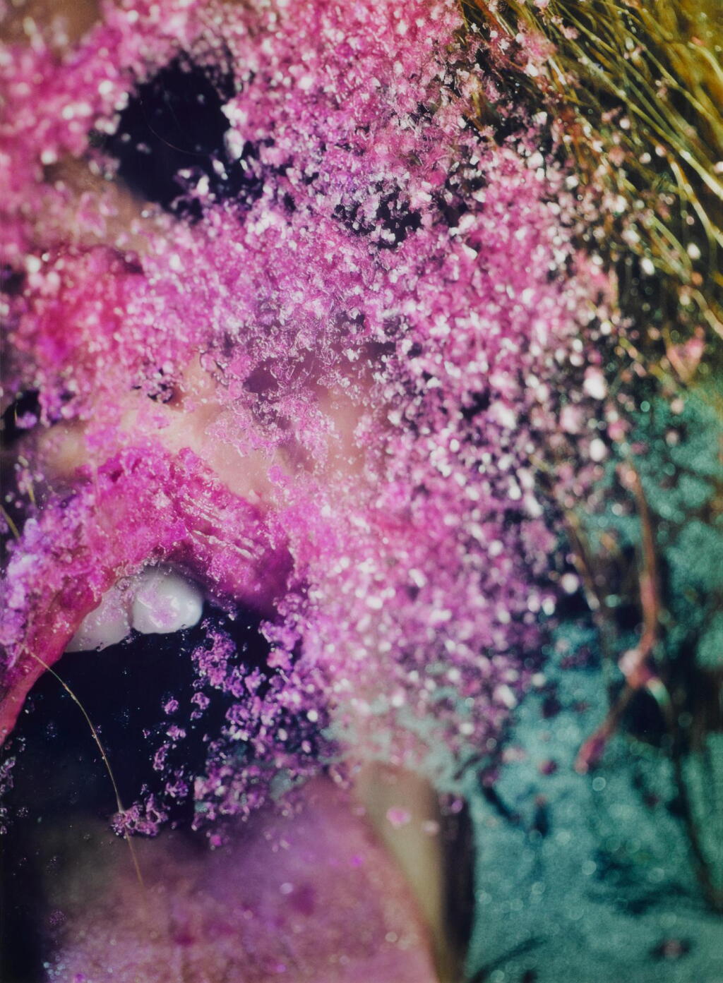View full screen - View 1 of Lot 41. Pink Snow.