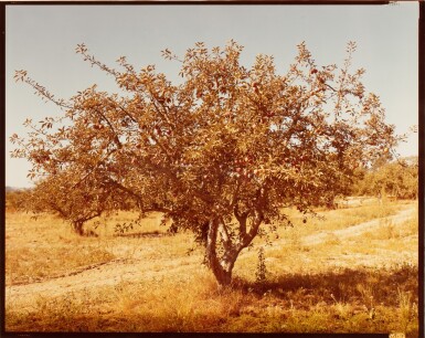 View full screen - View 1 of Lot 28. Stephen Shore | Forestville, California, September 5, 1974.