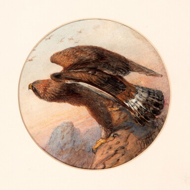 View full screen - View 1 of Lot 244. Joseph Wolf | Eleven small medallion drawings of birds, red morocco.