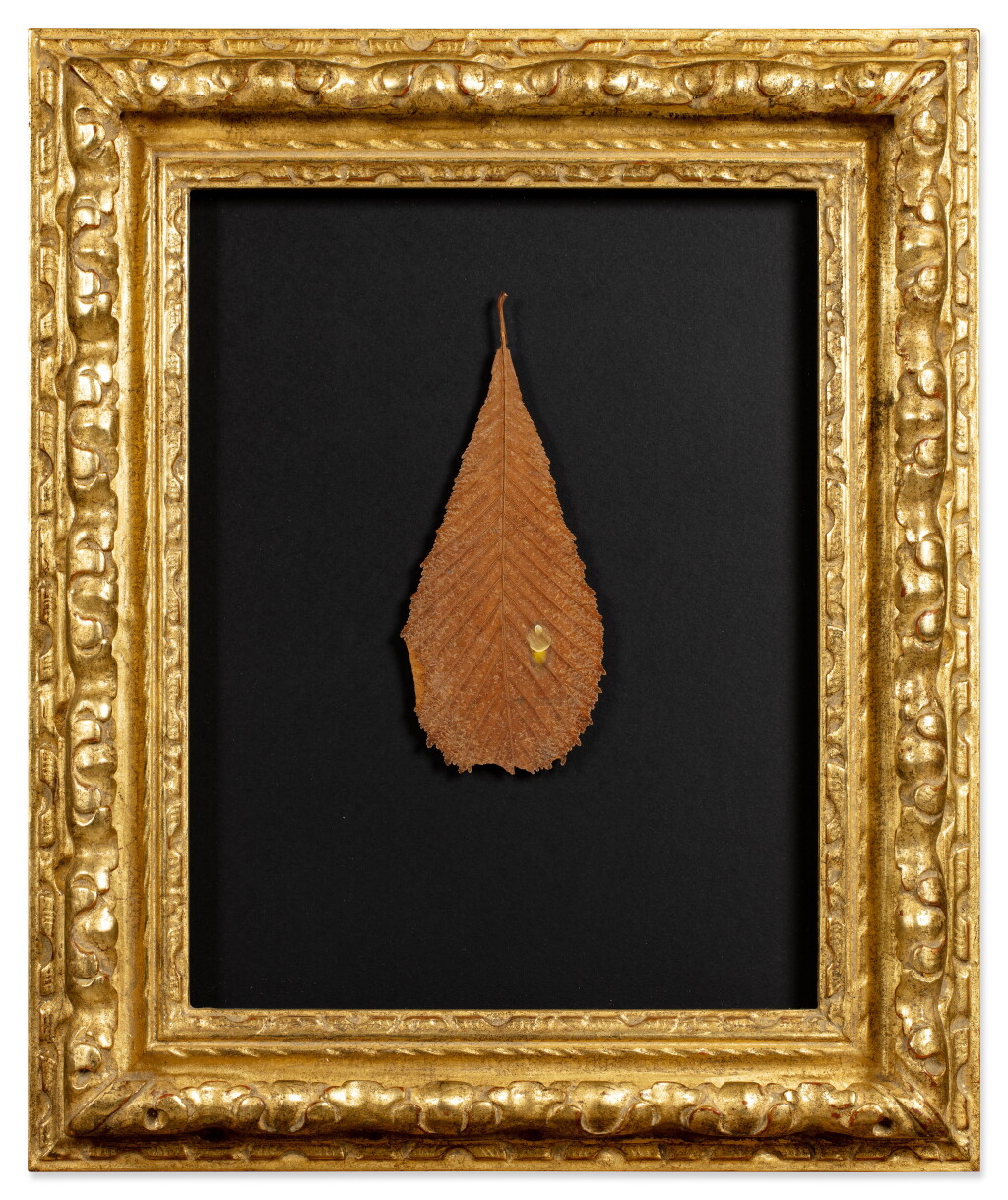 View full screen - View 1 of Lot 79. Untitled (Waterdrop).