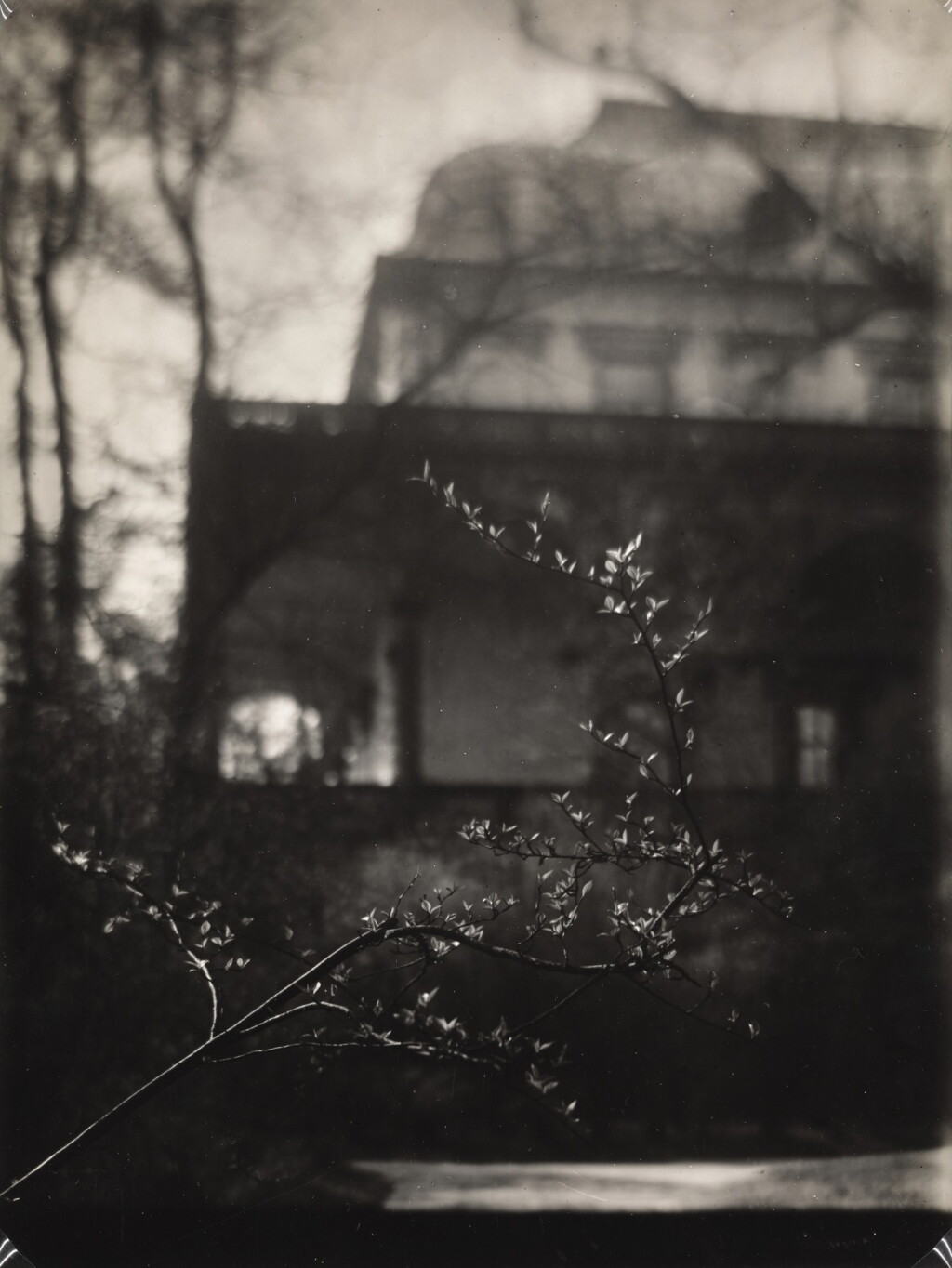 View full screen - View 1 of Lot 1. JOSEF SUDEK | FLOWERING BRANCH.