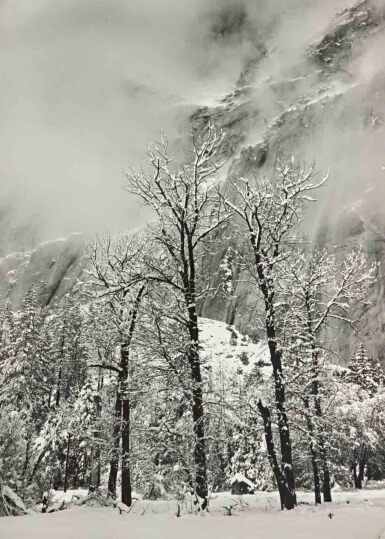 View full screen - View 1 of Lot 5. 'Trees and Cliffs, Eagle Peak, Winter, Yosemite Valley, CA' (vertical).