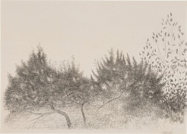 View full screen - View 1 of Lot 80. Orchard.