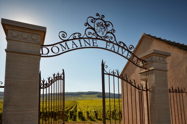 View full screen - View 1 of Lot 852. Corton, Clos des Cortons 2005 Faiveley (6 BT).