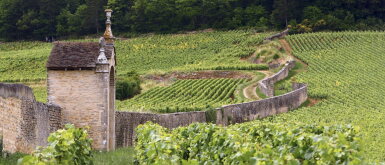 View full screen - View 1 of Lot 325. Mazy Chambertin 2017 Domaine Armand Rousseau (3 BT).