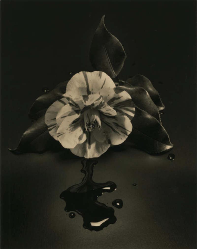Cover image 0