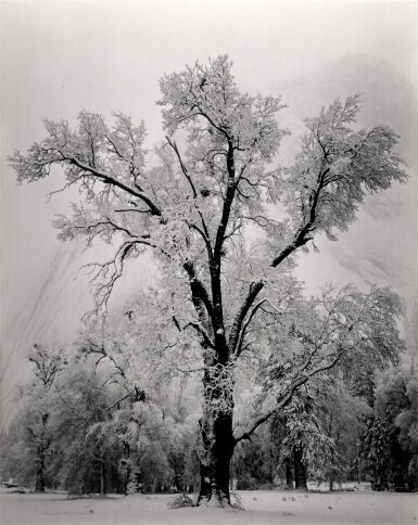 View full screen - View 1 of Lot 69. Oak Tree, Snowstorm.