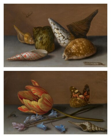 View full screen - View 1 of Lot 338. Still Life with Shells, a Fly and a Caterpillar; Still Life with Flowers, a Fly, a Shell, and a Butterfly.