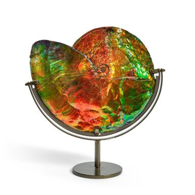 View full screen - View 1 of Lot 16. Large Iridescent Ammonite.