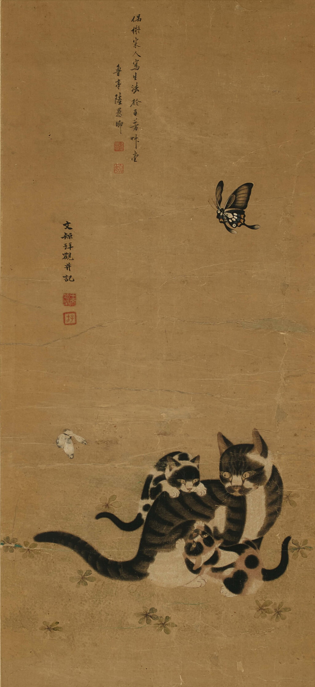 View full screen - View 1 of Lot 6108. 陸愚卿 貓蝶圖 | Cat and Butterfly.