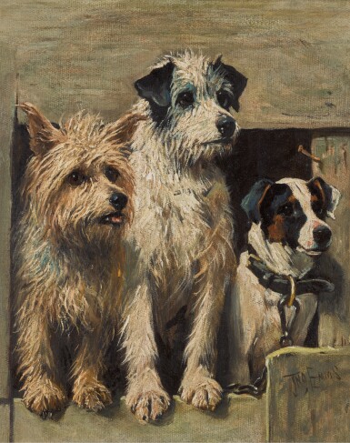 全螢幕檢視 - 查看58JOHN EMMS | Visitors的1