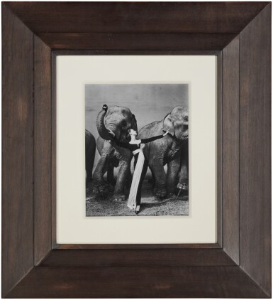 Richard Avedon | Dovima with elephants, Evening dress by Dior, Cirque Richard Avedon | Dovima with elephants, Evening dress by Dior, Cirque