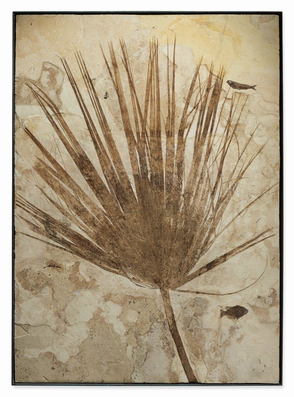 View full screen - View 1 of Lot 28. A Fossil Palm Frond with Two Fish.