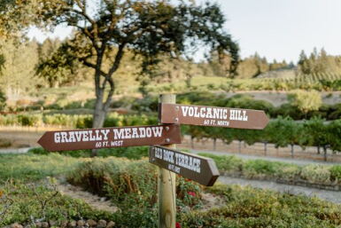 View full screen - View 1 of Lot 89. Diamond Creek Vineyards Mixed Lot (12 BT).
