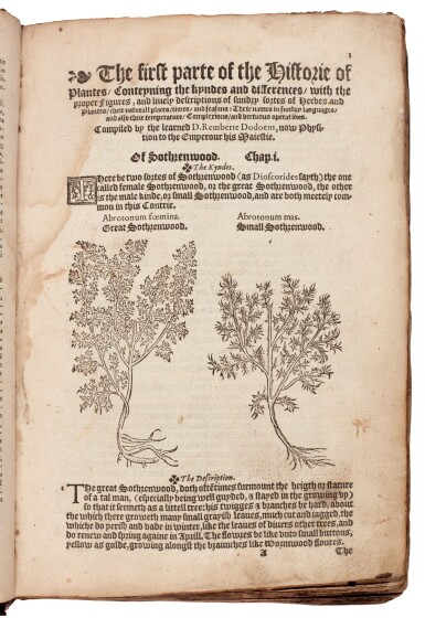 View full screen - View 1 of Lot 8. Rembert Dodoens | A niewe herball, London, 1578, calf over wooden boards.