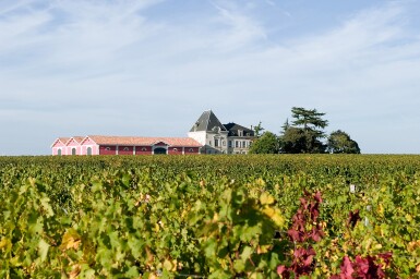 View full screen - View 1 of Lot 479. 1998 - 2014 Pomerol Assortment (12 BT).