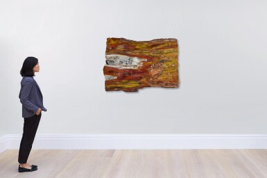View full screen - View 1 of Lot 39. Petrified Wood Wall Display.