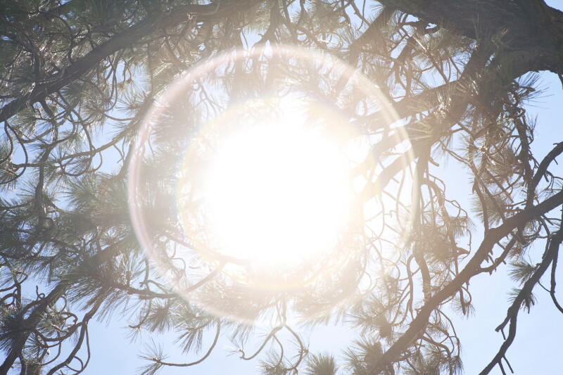 Cover image 0