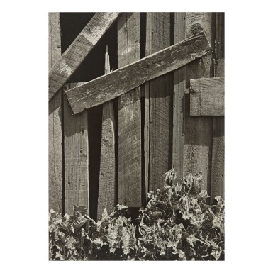 View full screen - View 1 of Lot 43. ANSEL ADAMS | 'BOARDS AND THISTLES'.