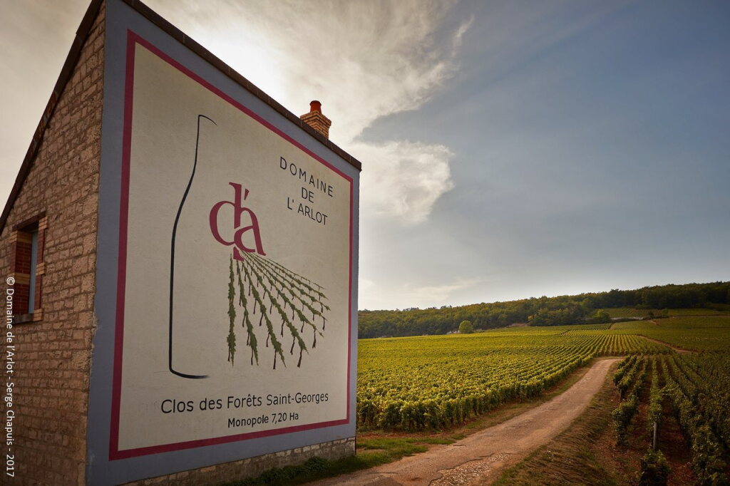 View full screen - View 1 of Lot 520. Romanée St. Vivant 2010 Domaine de l'Arlot (6 BT).