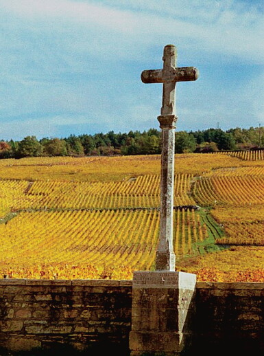 View full screen - View 1 of Lot 1001. Vosne Romanée, Cuvée Duvault-Blochet 2008 Domaine de la Romanée-Conti (1 BT).