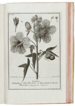 J.A. Scopoli | Deliciae Florae et Faunae Insubricae seu novae. Ticino, 1786-88, 3 parts in one, contemporary vellum