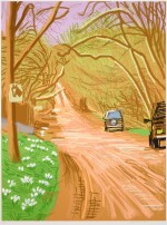 The Arrival of Spring in Woldgate, East Yorkshire in 2011 (twenty eleven) - 5 March