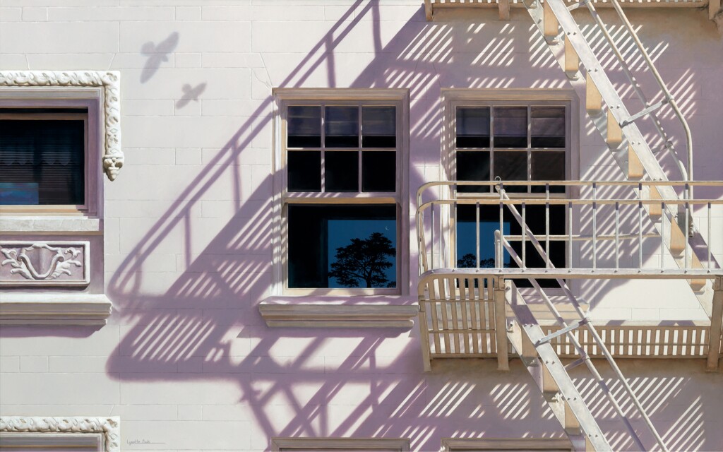 Lynette Cook — Illumination