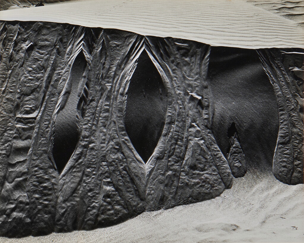 View full screen - View 1 of Lot 328. Dunes, Oceano.