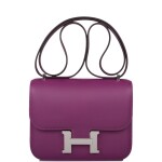 Anémone Evercolor Leather Mini Constance 18 Palladium Hardware, 2020