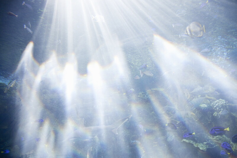 Cover image 0