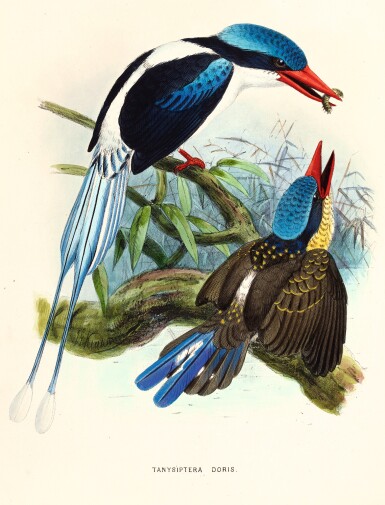 View full screen - View 1 of Lot 358. Sharpe. A Monograph of the Alcedinidae: or, Family of Kingfishers. 1868-1871. The author's copy..