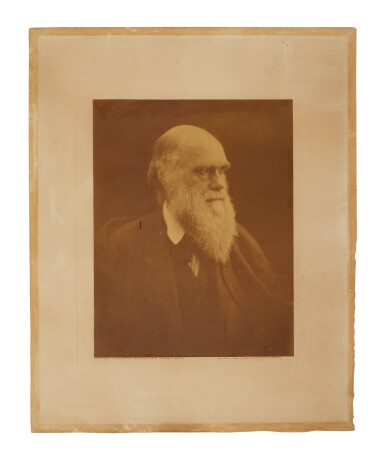 View full screen - View 1 of Lot 1030. (Darwin, Charles) — Julia Margaret Cameron | The rarest of Cameron’s portraits of Darwin.
