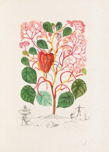 View full screen - View 1 of Lot 43. DALI. Flora Dalinae. 1968. 1/75 exemplaires sur Japon. Suite de 10 gravures au pochoir..