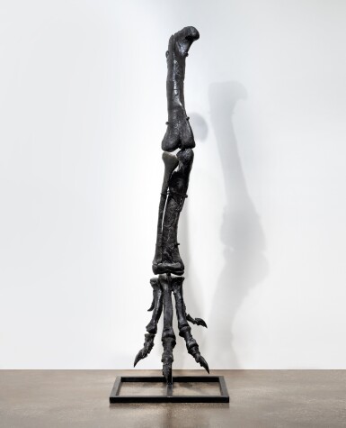 View full screen - View 1 of Lot 207. Allosaurus Leg Bones Articulated.