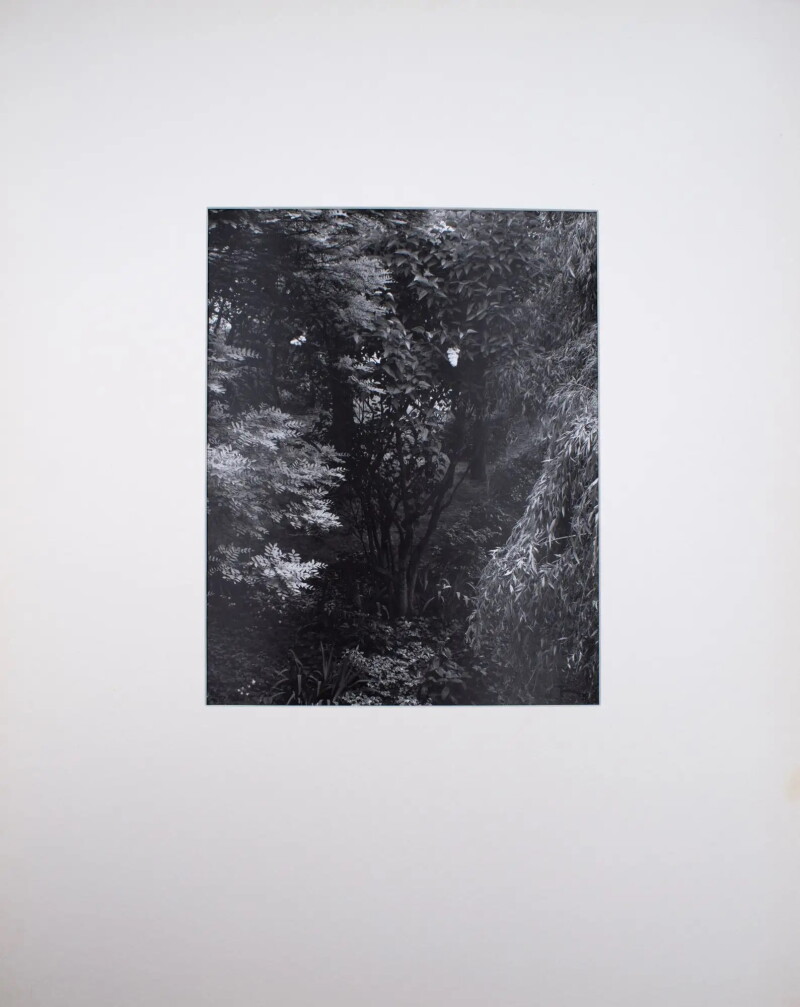 Cover image 0