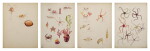 FOUR WORKS: VARIOUS SPECIES OF BRISTLE STARS, PTEROPODS, COPEPODS AND OTHER CRUSTACEANS
