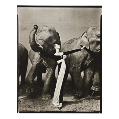 View full screen - View 1 of Lot 20. RICHARD AVEDON | DOVIMA WITH ELEPHANTS, EVENING DRESS BY DIOR, CIRQUE D'HIVER, PARIS.