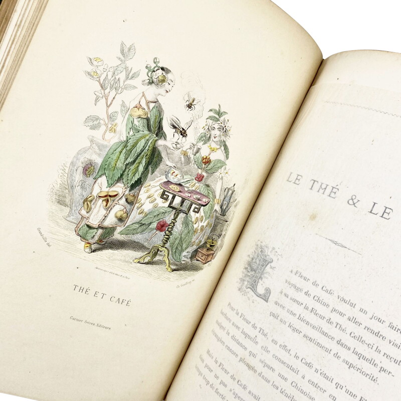 Cover image 0