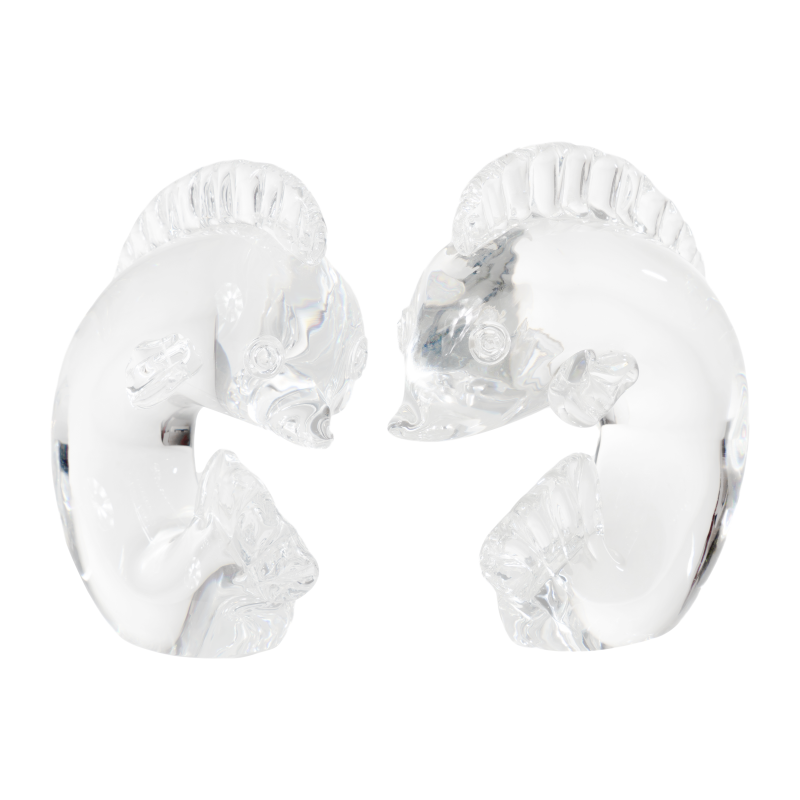 Cover image 0