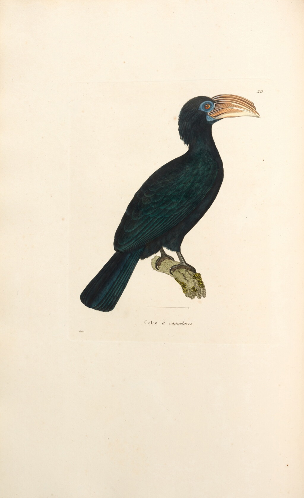View full screen - View 1 of Lot 94. Coenraad Temminck | Nouveau recueil de planches coloriées d'oiseaux, 1838, 5 vols, contemporary half calf.