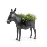 Âne planté