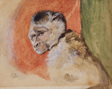 View full screen - View 1 of Lot 200. Jacko, a macaque monkey.