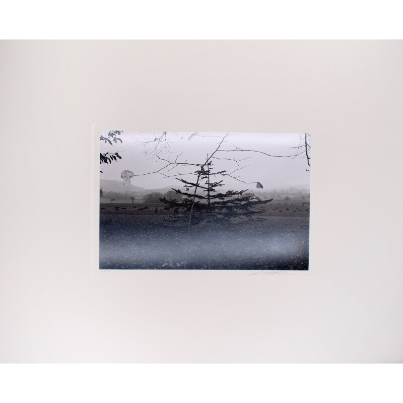 Cover image 0