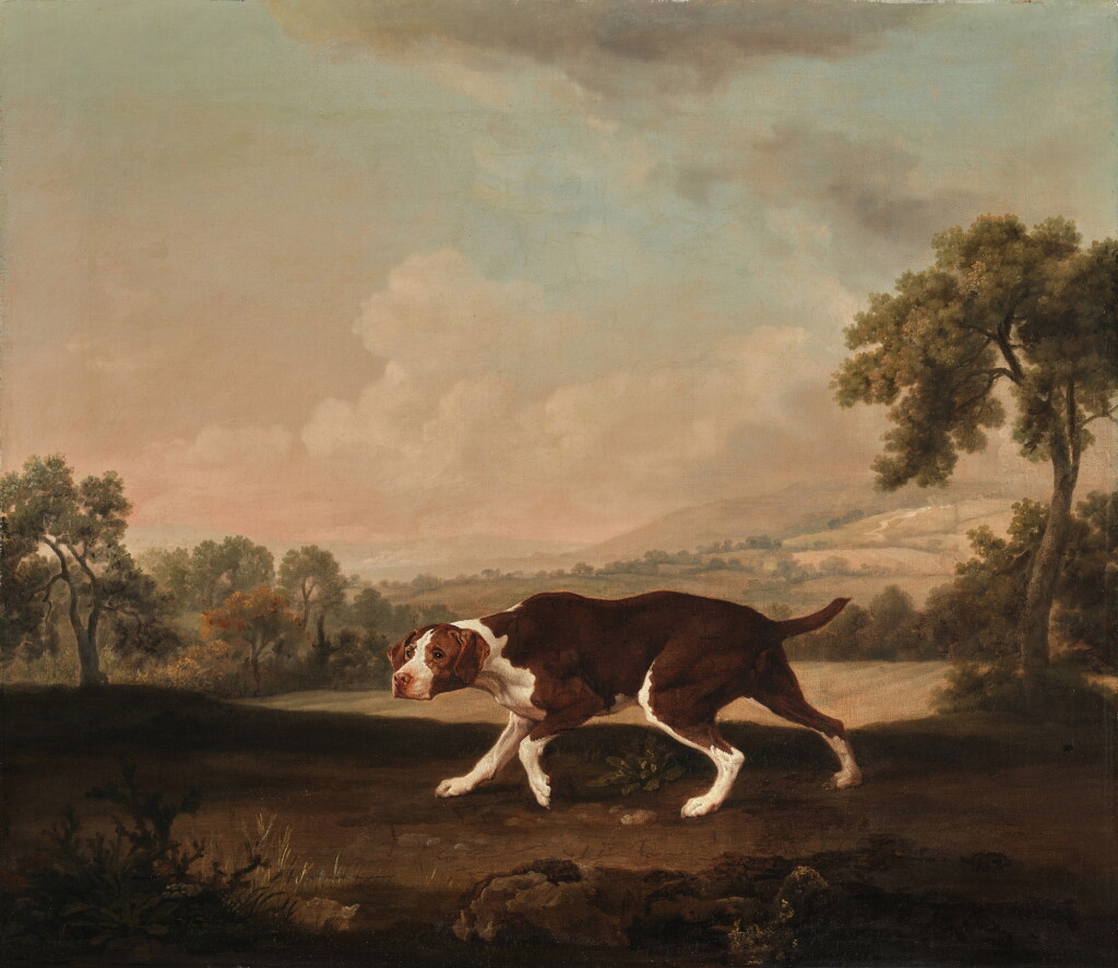 View full screen - View 1 of Lot 20. The Spanish Pointer.
