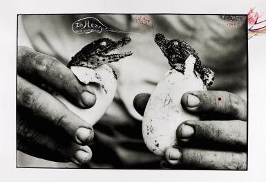 View full screen - View 1 of Lot 75. PETER BEARD | ‘TO HENRY & HAPPY EASTER' (MINGLED DESTINIES OF CROCODILES AND MAN), MOITE BAY, LAKE RUDOLF, 1965.