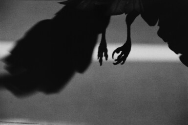 View full screen - View 1 of Lot 40. 'Koen-dori, Shibuya' (from The Solitude of Ravens).