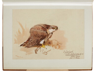 View full screen - View 1 of Lot 33. Archibald Thorburn | An album containing eight original drawings of birds of prey.