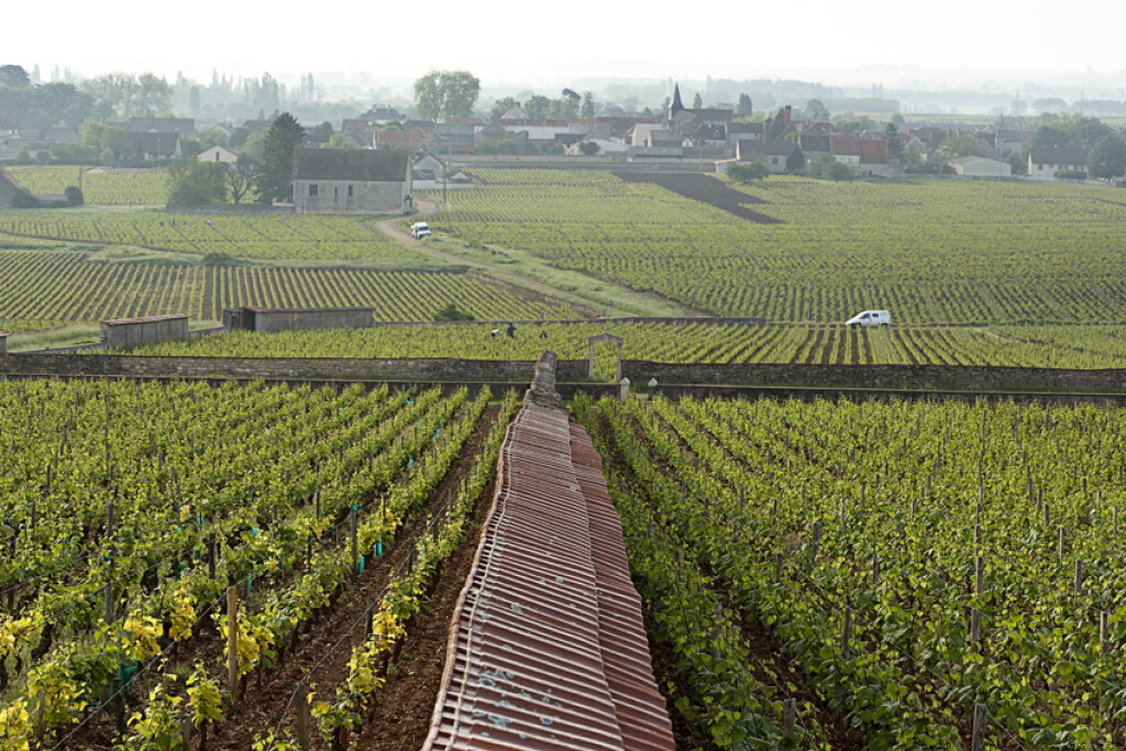 View full screen - View 1 of Lot 549. Bâtard Montrachet 1989 Domaine Leflaive (3 BT).